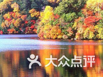 脑洞小老弟无实名认证